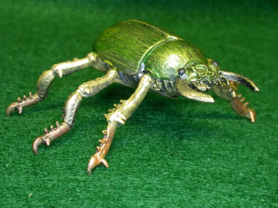 scarb beetle